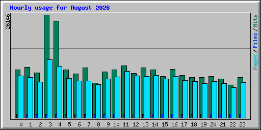Hourly usage for August 2026